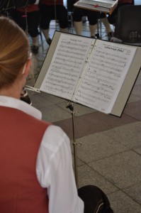 DSC 0201